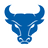Buffalo Bulls logo