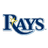 Tampa Bay Rays logo