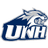 New Hampshire Wildcats logo