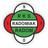 Radomiak Radom badge