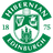 Hibernian badge